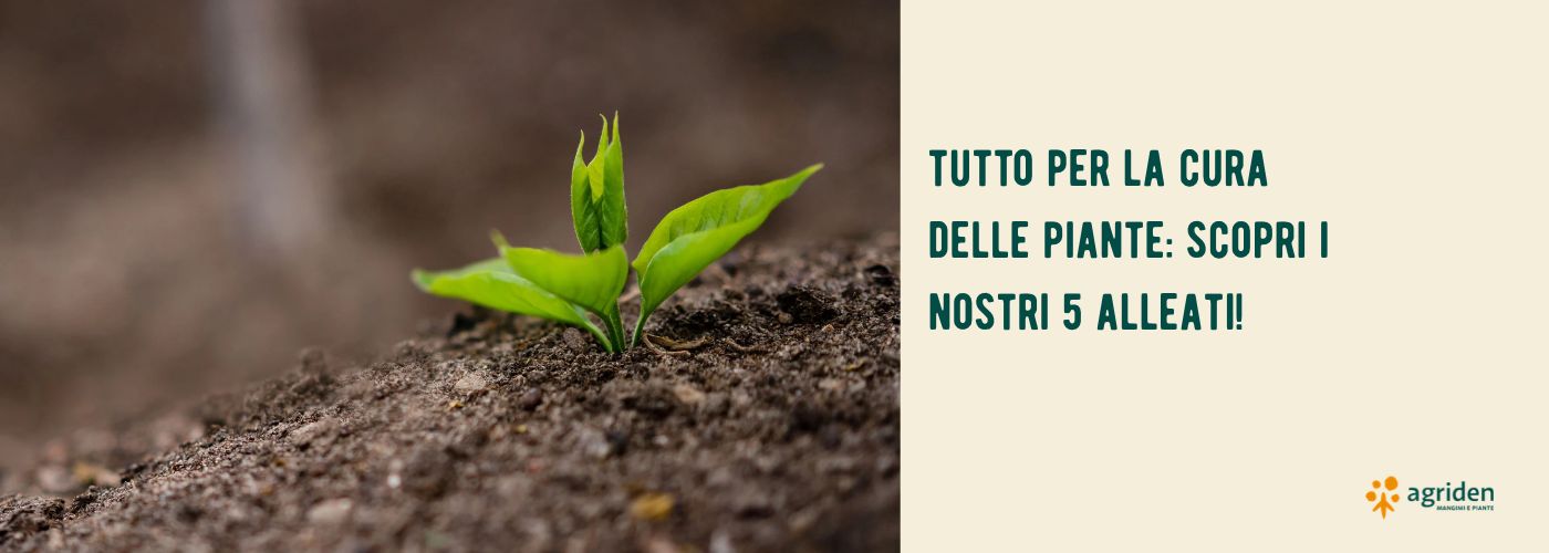 cinque-alleati-per-il-benessere-delle-piante-nutrizione-difesa-e-cura-del-verde