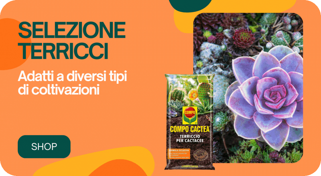 terricci-universali.gif