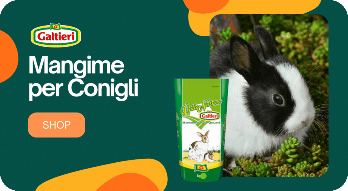 mangimi-pulcini-conigli-valle-natura-galtieri.gif
