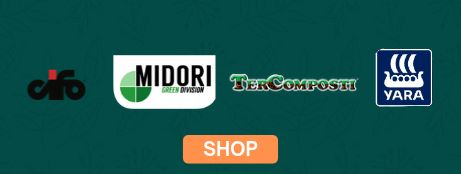 terricci-banner.jpg