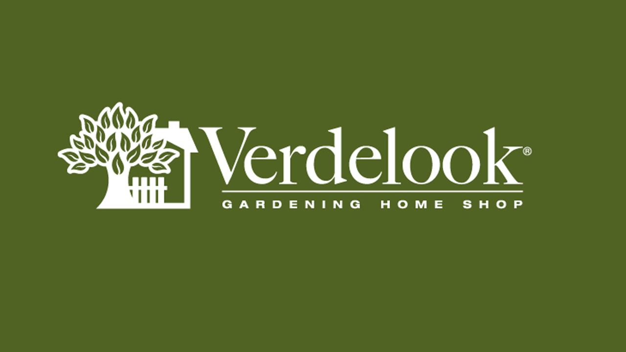 verdelook.jpeg